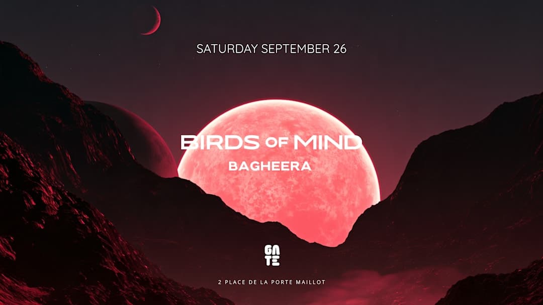 Birds of Mind x Bagheera