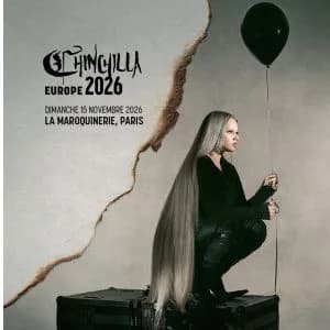 Chinchilla