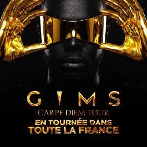GIMS