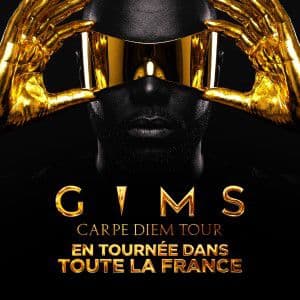 GIMS