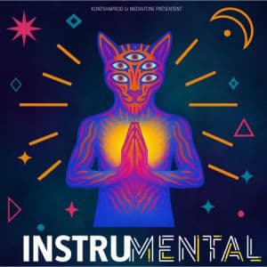 Instrumental