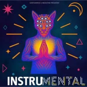 Instrumental