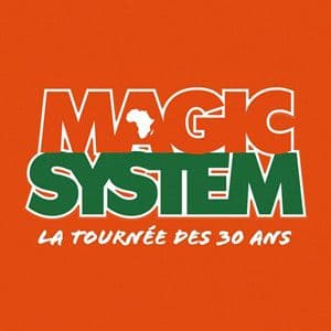 Magic System