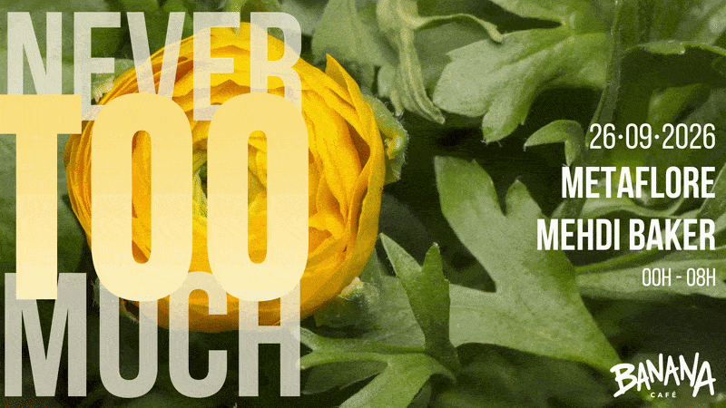 Never too much 004