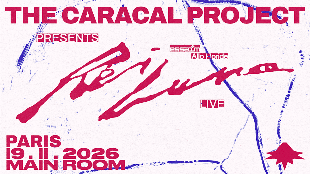 The Caracal Project