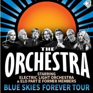 The Orchestra