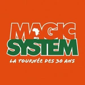 Magic System